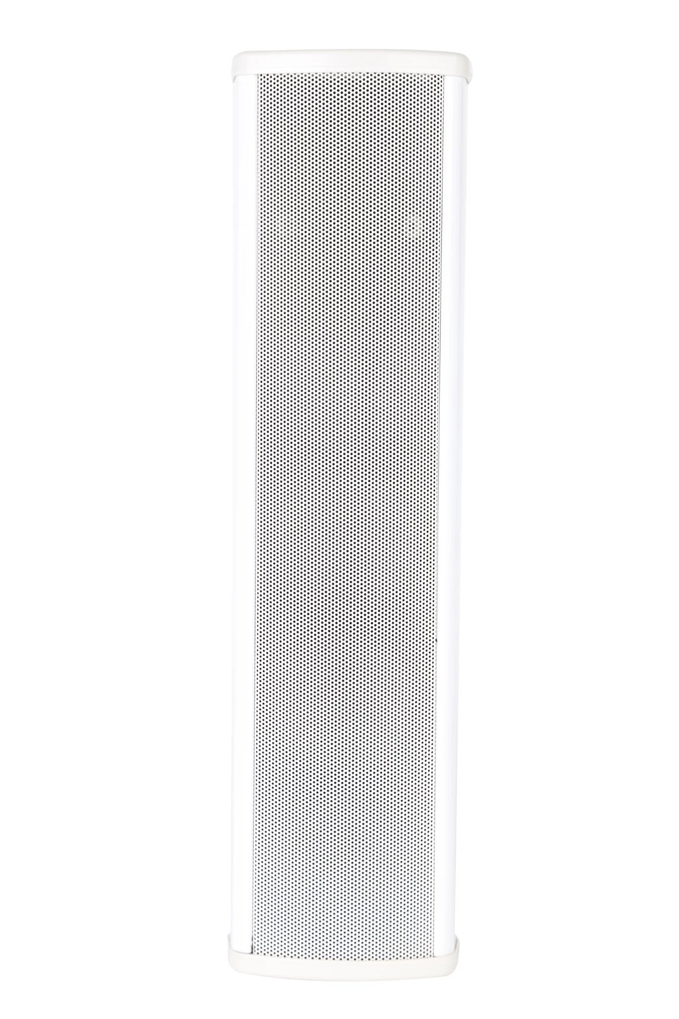 PA System 2&times; 2.5" Outdoor Column Speaker