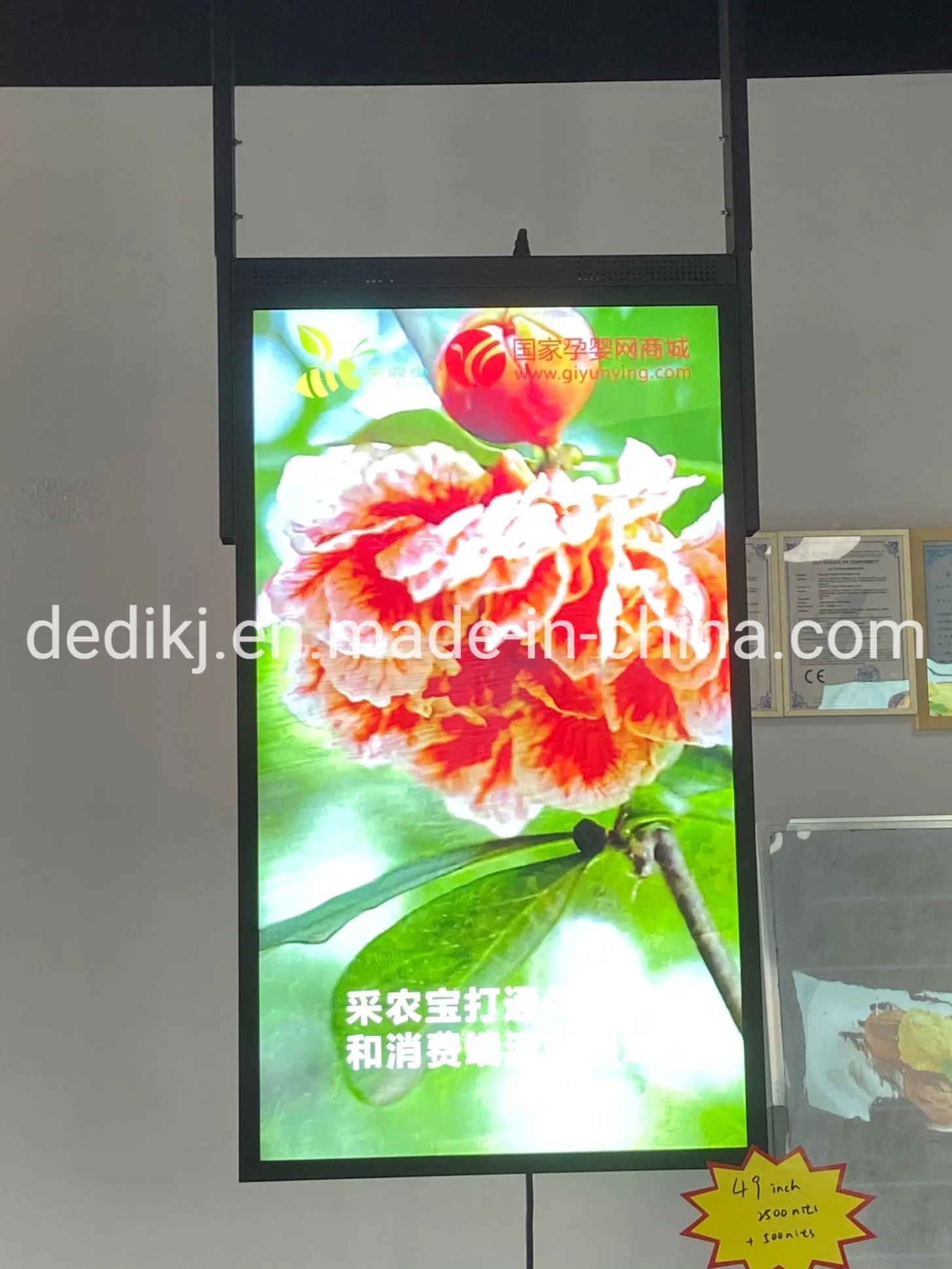 High Brightness 43/55/65'' Digital LCD Window for Stores