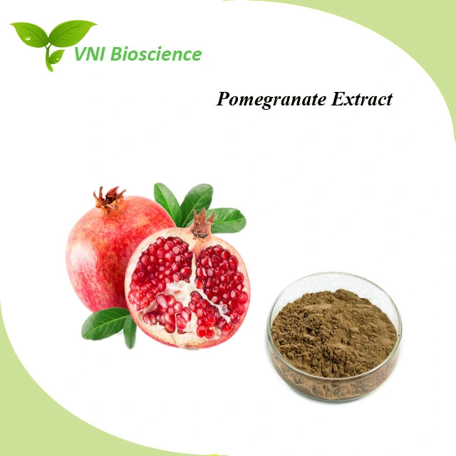 ISO Certified 100% Natural Pomegranate Fruit Juice Powder Pomegranate Extract