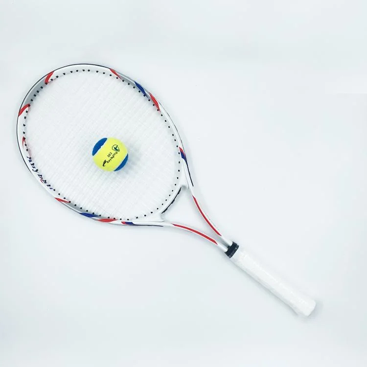 Anyball aluminio de aleación de tenis raqueta profesional de diseño a medida para adultos al aire libre Use 031