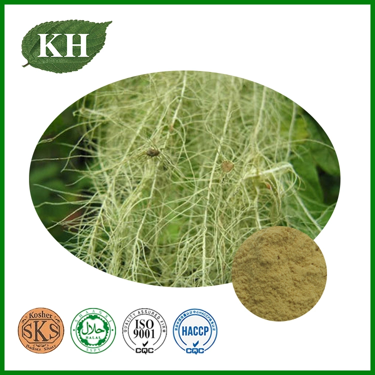 High quality/High cost performance usnic Powder 98% Usnic Acid