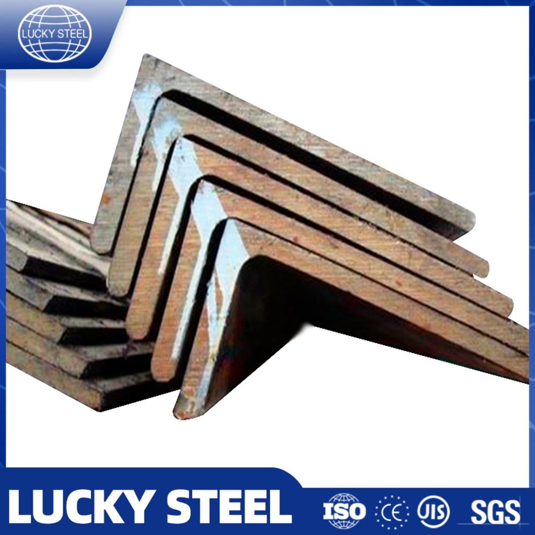 Galvanized BS En S355jr S355j0 Perforated L Shaped Steel Slotted Triangular Steel Bar Carbon Iron Angle Steel