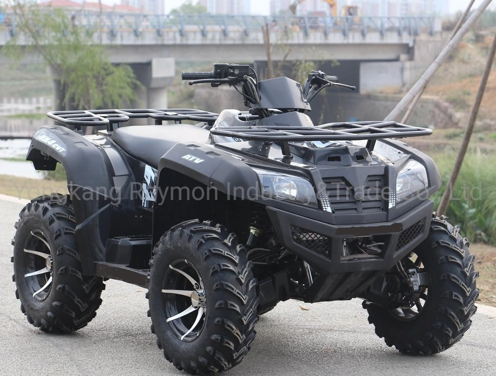 Raymon 4WD 4*4 High quality/High cost performance  Best Sale Adults Petrol Power Motorcycle ATV