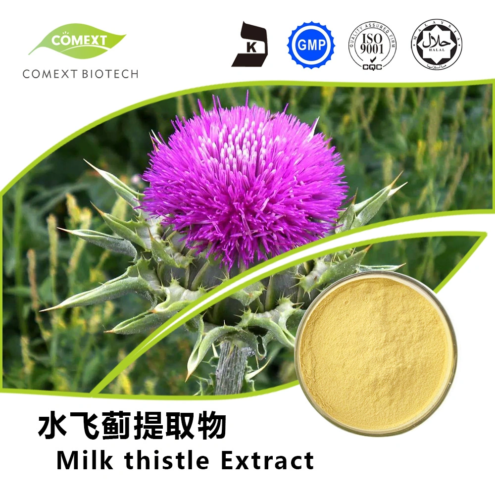 Comext Liver Protection Natural 10%-80% Silymarin 30%-98%Silybin Isosilybin 10: 1~30: 1 Milk Thistle Extract