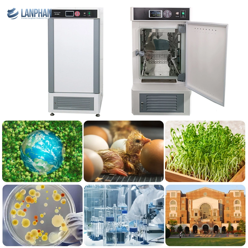 El cultivo del molde microbiológica bioquímica del termostato a la venta máquina incubadora