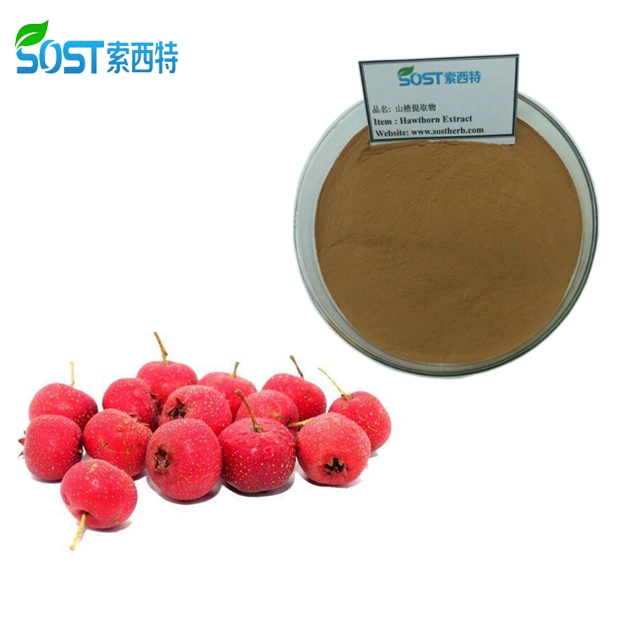 High Quality Chinese EU Organic Hawthorn Powder