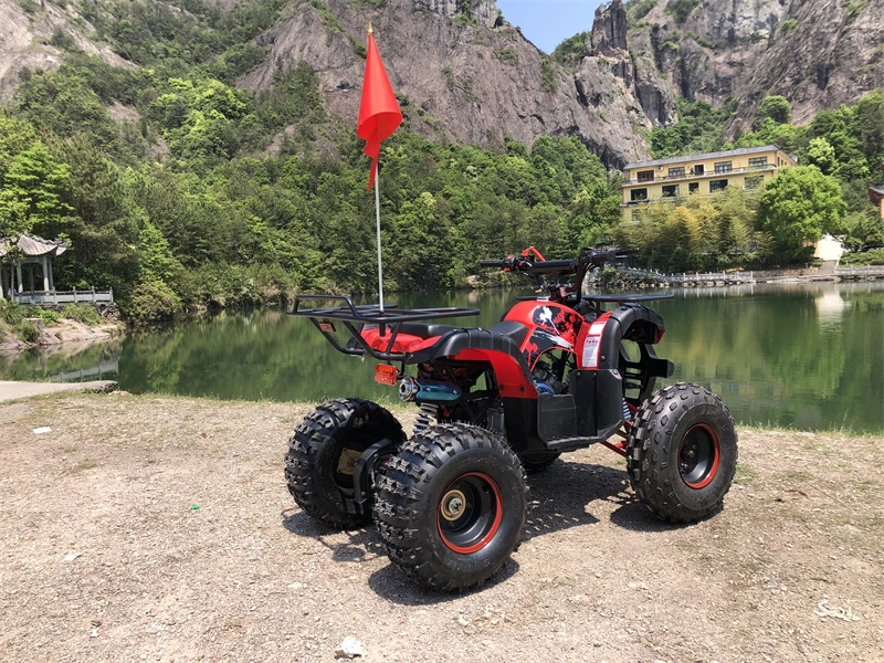 China moto-quatro adultos UTV Electric All Terrain veículo barato venda 125cc Kid ATV