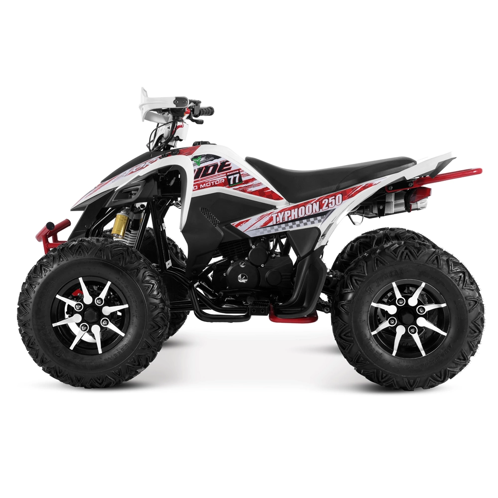 Tao Motor 2024 Latest Design 250cc Quad Bike Sport ATV