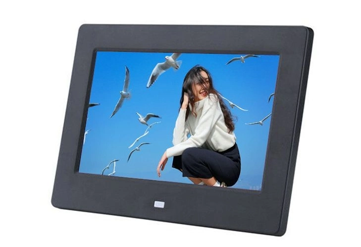 Outdoor Wall Mounted 43 Inch LCD Water-Proof Lighting Protection Advertising Display