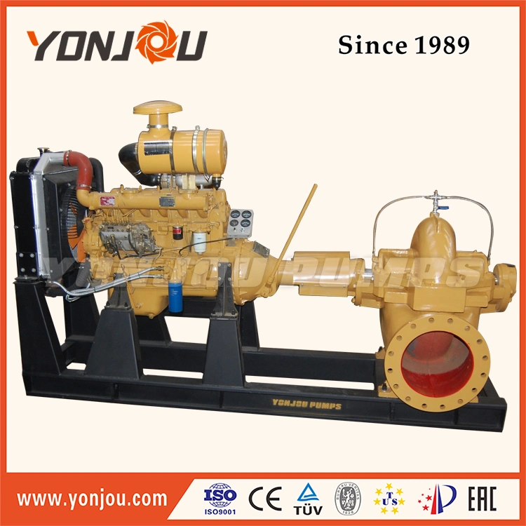 Diesel Engine Water Pump Set