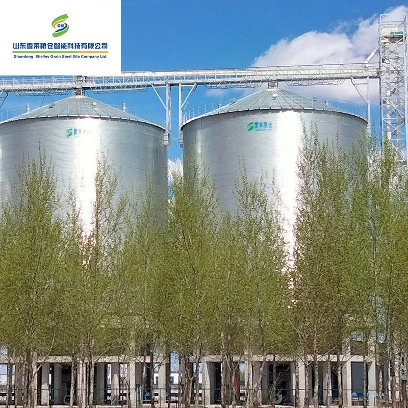 Wood Pellet Mill Grain Storage Silos Used Steel Wheat Corn Paddy Rice Grain Silo for Sale