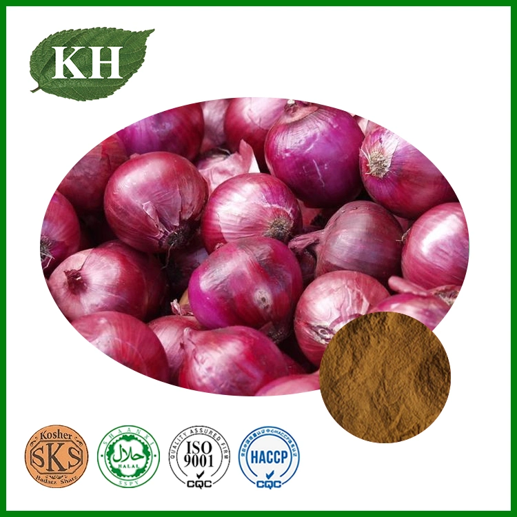 Allium Cepa Extract Onion Extract