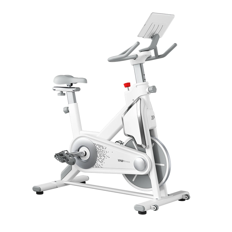 Exercício corporal Professional Home Ginásio Spin Fitness bicicleta de exercício 9 kg de bicicleta de fiação do volante do motor