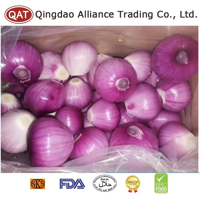Wholesale/Supplier Bulk Price Fresh Peeled Whole Purple White Onion Fresh Red Yellow Purple Peeled Onion for Exporting