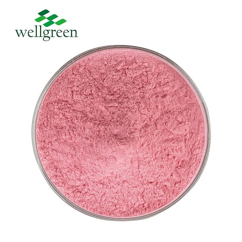 Wellgreen Food Grade Top Quality Freeze Dried Organic Strawberry Fruit Powder