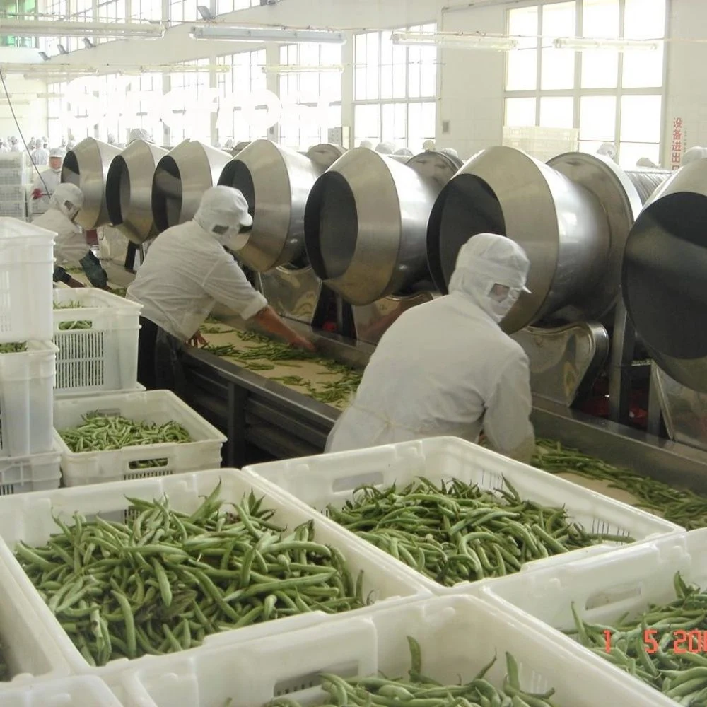 Wholesale Manufacturer&Supplier of Premium IQF Frozen Whole Green Beans