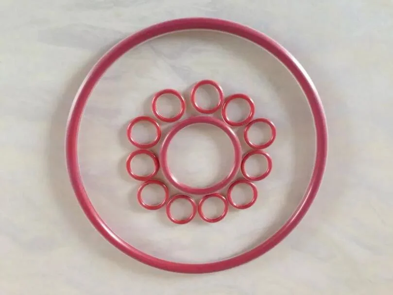 FEP PFA PTFE Encapsulated Silicone Mvq O-Rings