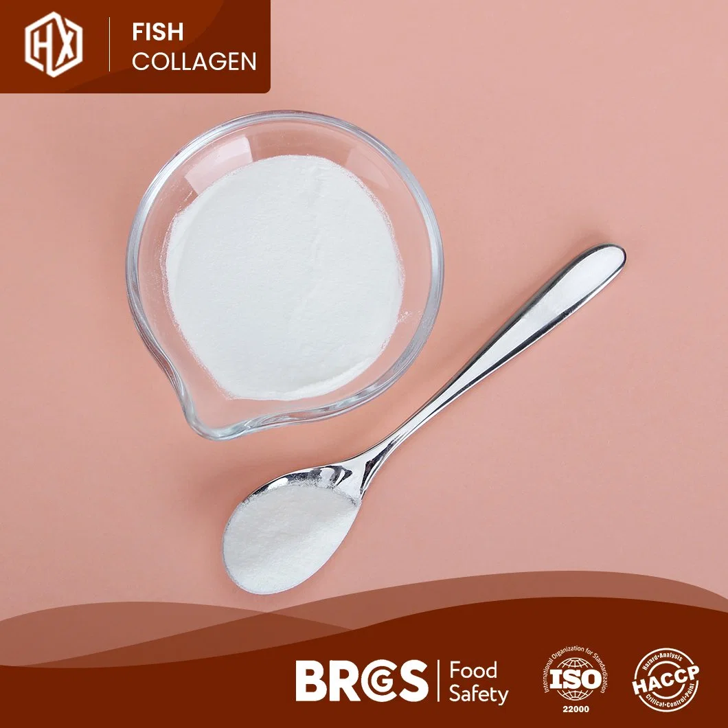 Haoxiang Fish Collagen Pure Hydrolyzed Deep Sea Fish Scale Collagen Powder Enzymatic Hydrolysis Technology Process Hydrolyzed Fish Collagen Powder Manufacturer