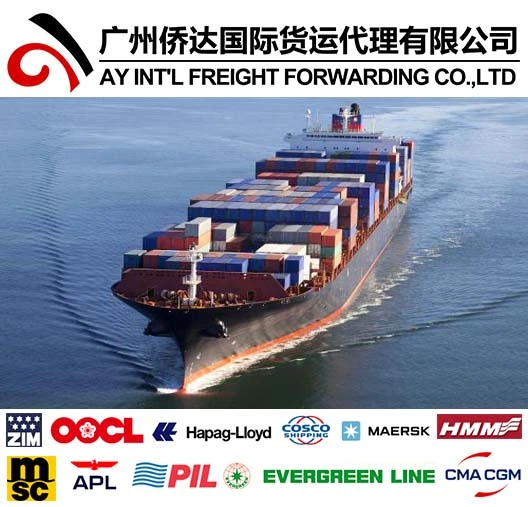 Sea Freight for Foshan Furniture Container to Rotterdam/Hamburg/Antwerp/Le Havre by Sea