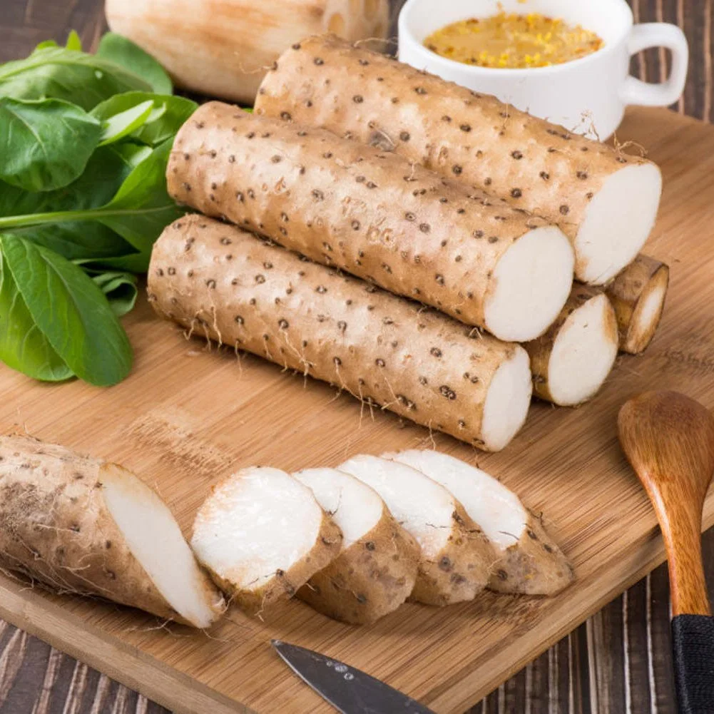 Natural Herb Extract Chinese Yam 99% Powder Wild Yam Root Powder Extract