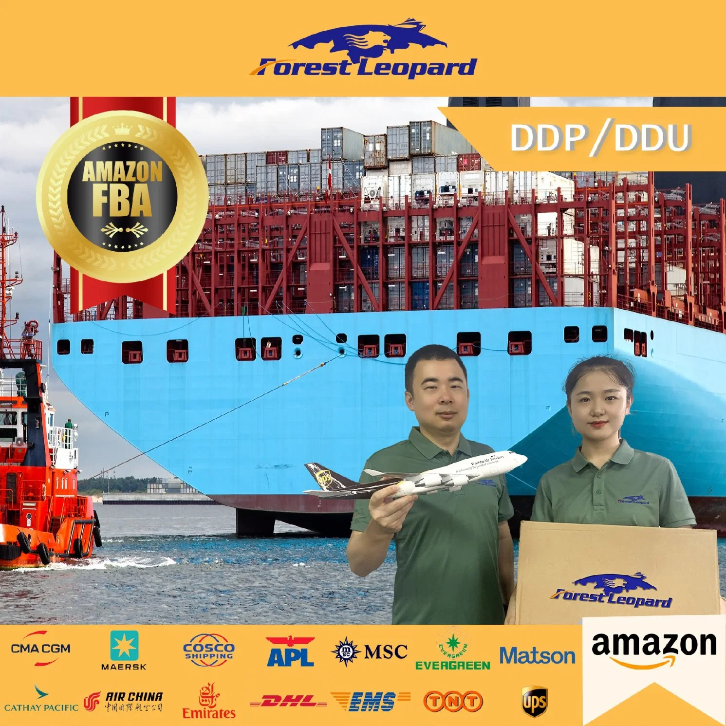 Check DDP Logistics Service Rate Cago Freight Forwarder Shipping Agent China to USA UK Germany Australia Canada France Italy EU