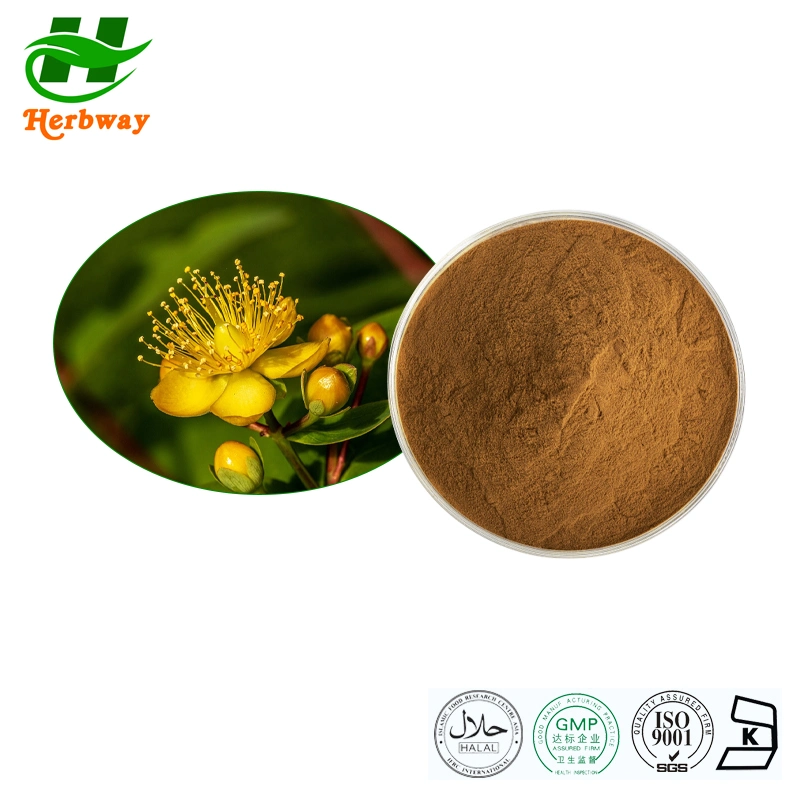 Herbway Extracto de hierba de San Juan Hypericum Perforatum P. E Extracto de Hyperin Hyperoside Hypericum Perforatum