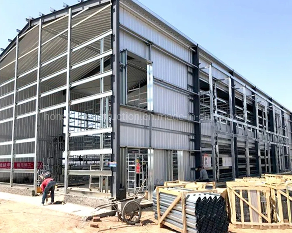 Steel Structure Poultry Farm Construction Building