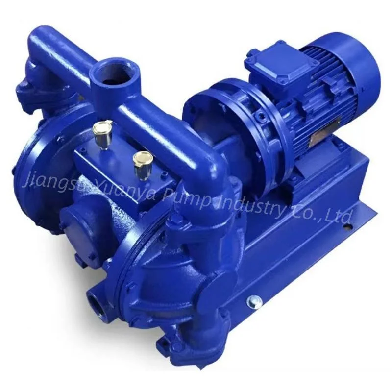 Portable Industrial Double Diaphragm Water Pump Air Pump