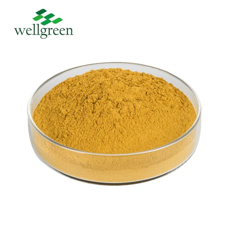 Wellgreen Natural Plant Huang Bai Amurense Phellodendron Bark Extract 30% Berberine HCl