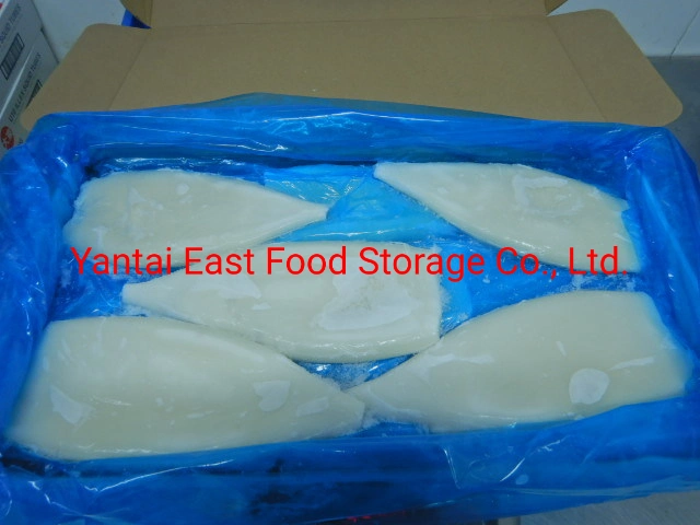 Illex Frozen Squid Tube, Cleaned, EU Treated, Frozen Seafood