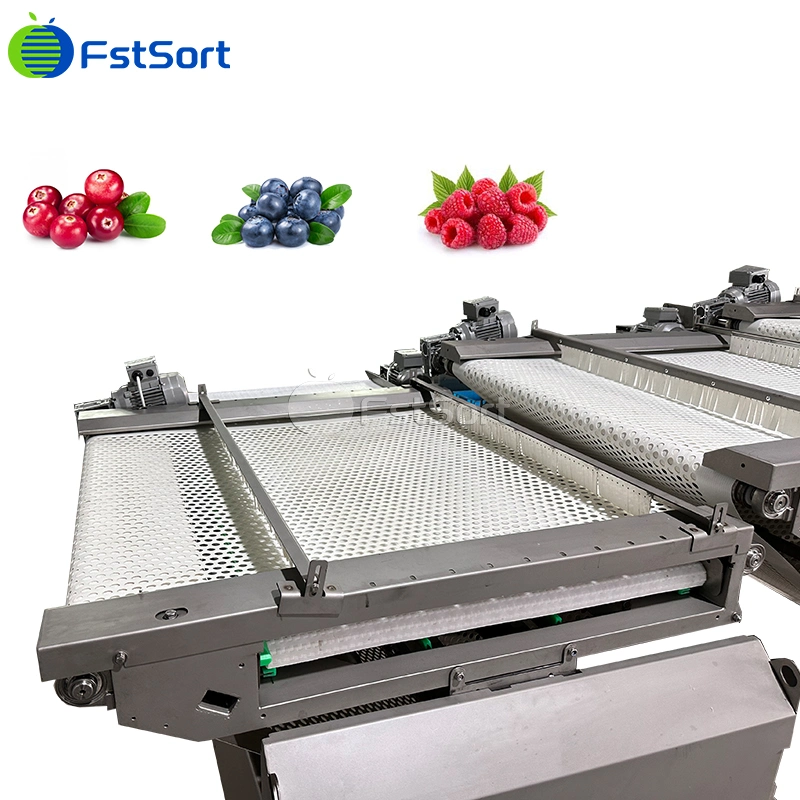 3+1 Grade Blueberry Sorting Machine, Blueberry Grading Machine, Raspberry Sorting Machine