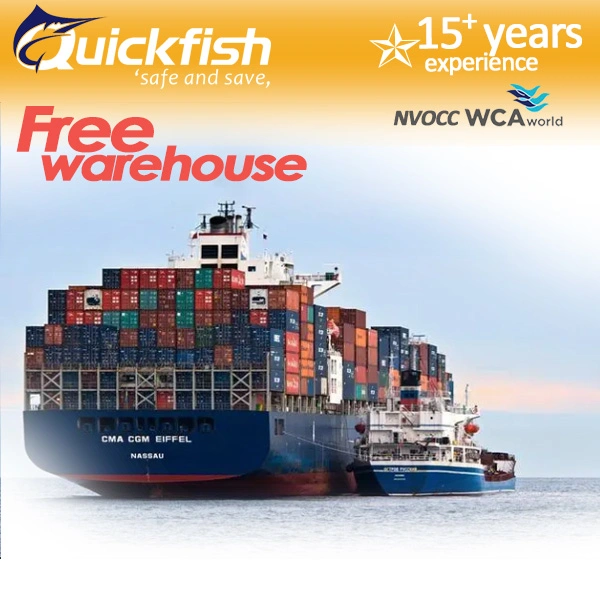 Sea Shipping Agent From China to Austria Mexcio USA Canada Drop Ship Service with Free Warehouse Storage