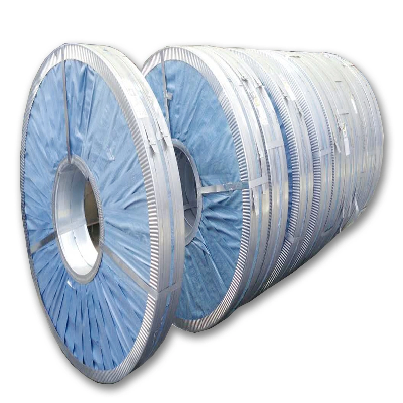 Zinc Coating Cold Rolled Steel Hot Galvanized Steel Flexible Metal Zinc Metal Strips