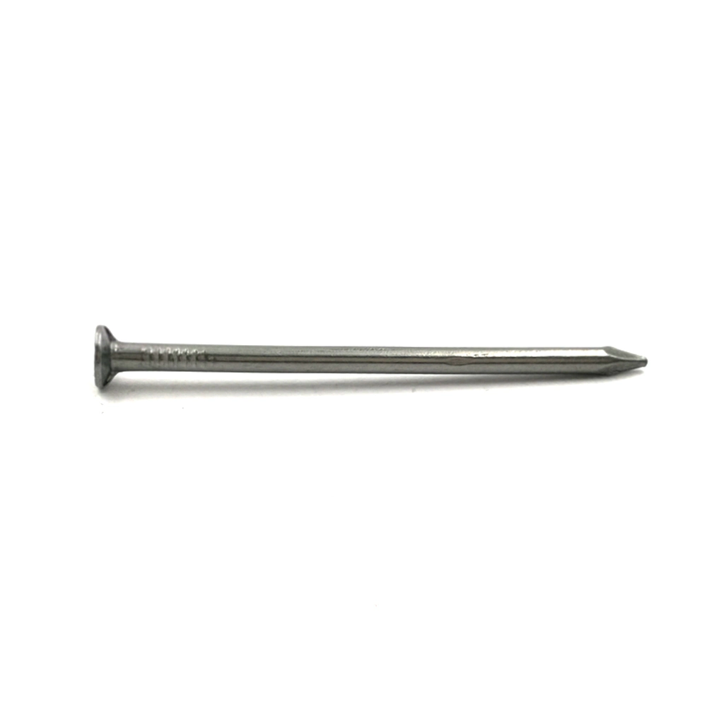 Polished Common Iron Nail