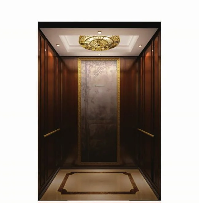 Top 10 Elevator Companies in China Cheap Price 6 Person Passenger Elevator Lift