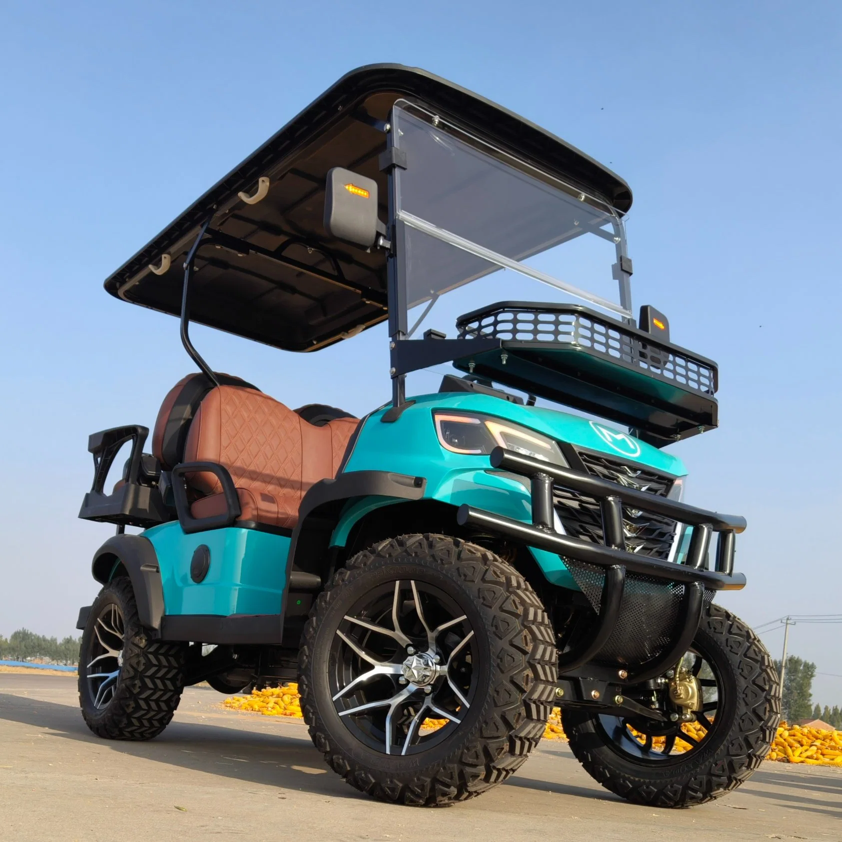 CE DOT Nuevo Modelo 4 asientos Electric Golf Car Global Venta levantado Golf Cart 2+2 plazas