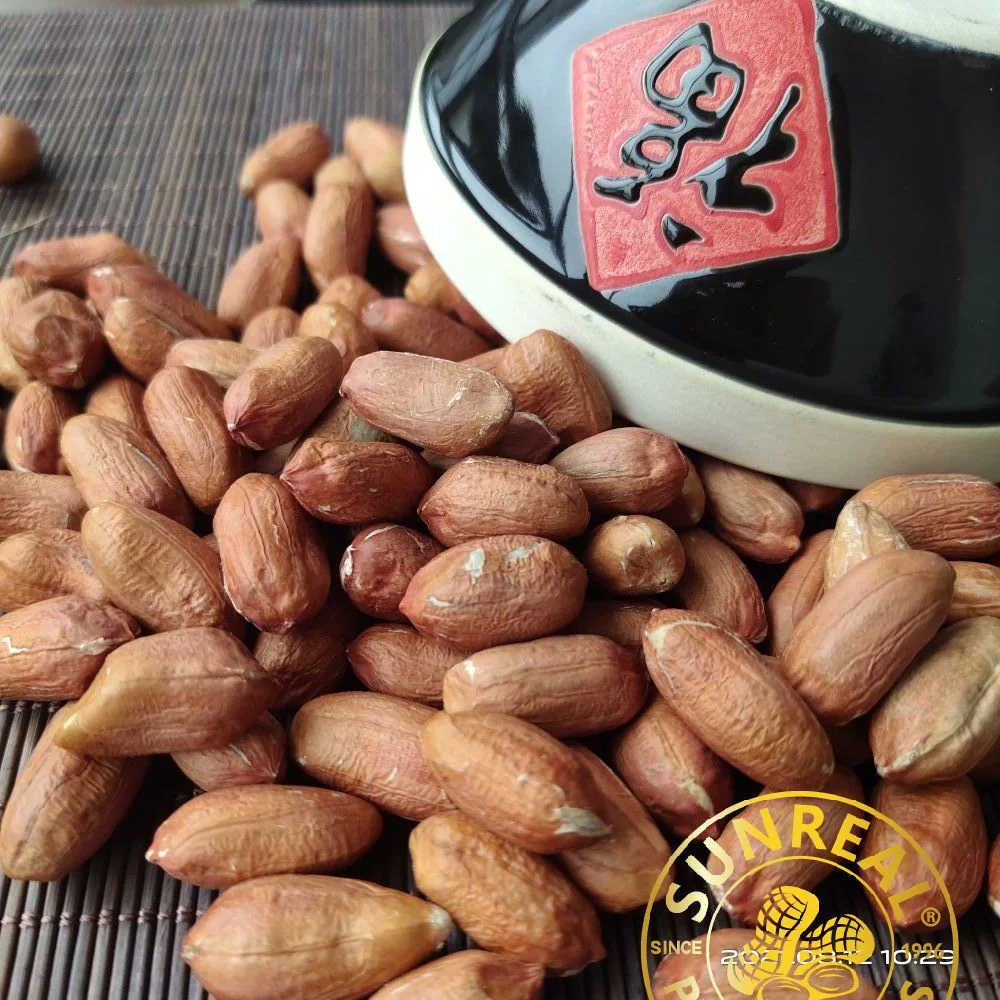 Raw Peanut Kernels Virginia 24/28 China/Reliable Brand/Best Quality