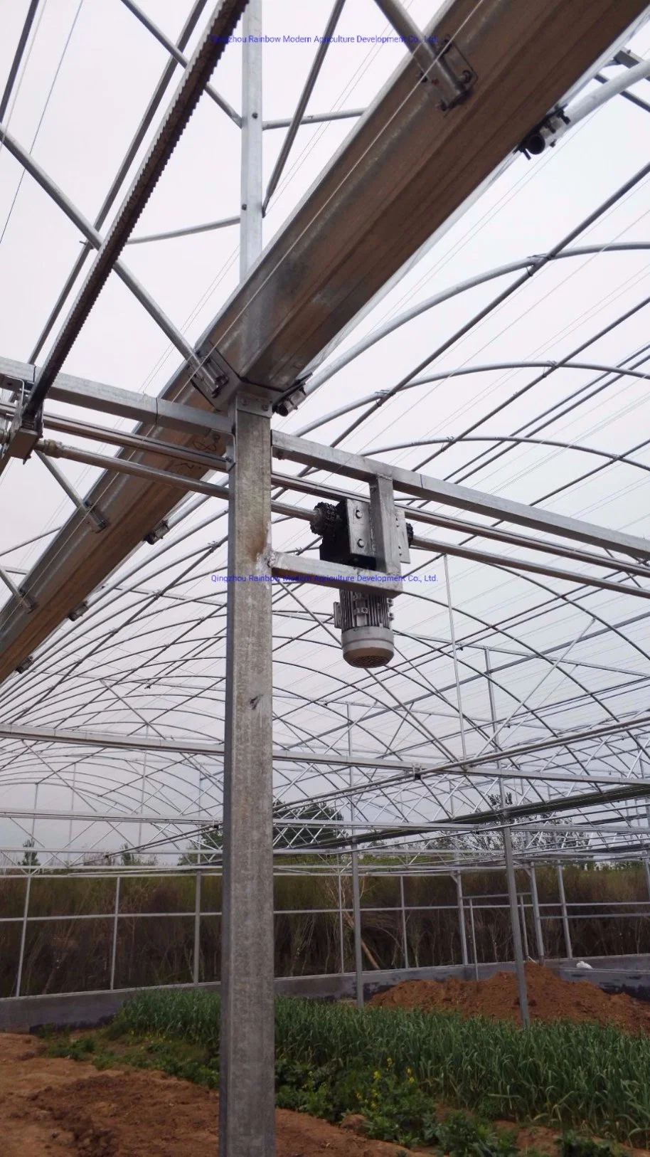 Multi-Span Arch Tunnel Type Greenhouse Structure