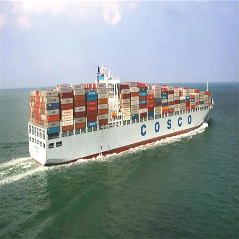 International Freight Forwarder From China to Tin Can/Apapa