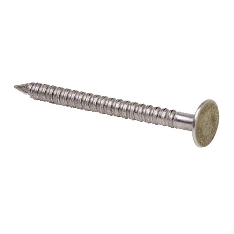 Galvanized Umbrella Galvanized Roofing Nail Common Nails