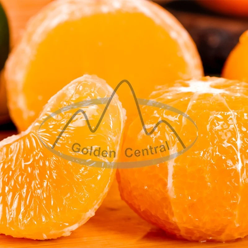 Super Fresh Navel Orange Price Fresh Orange