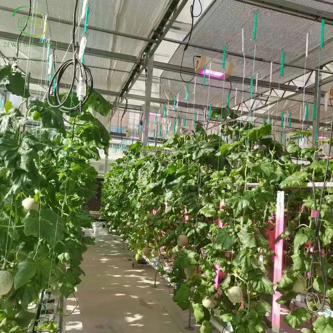 Low Cost Arch Multi Span Poly Film Greenhouse with Ventilation System for Vegetable Farming