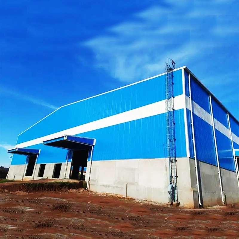 Steel Structure Building, Warehouse (SS-530)