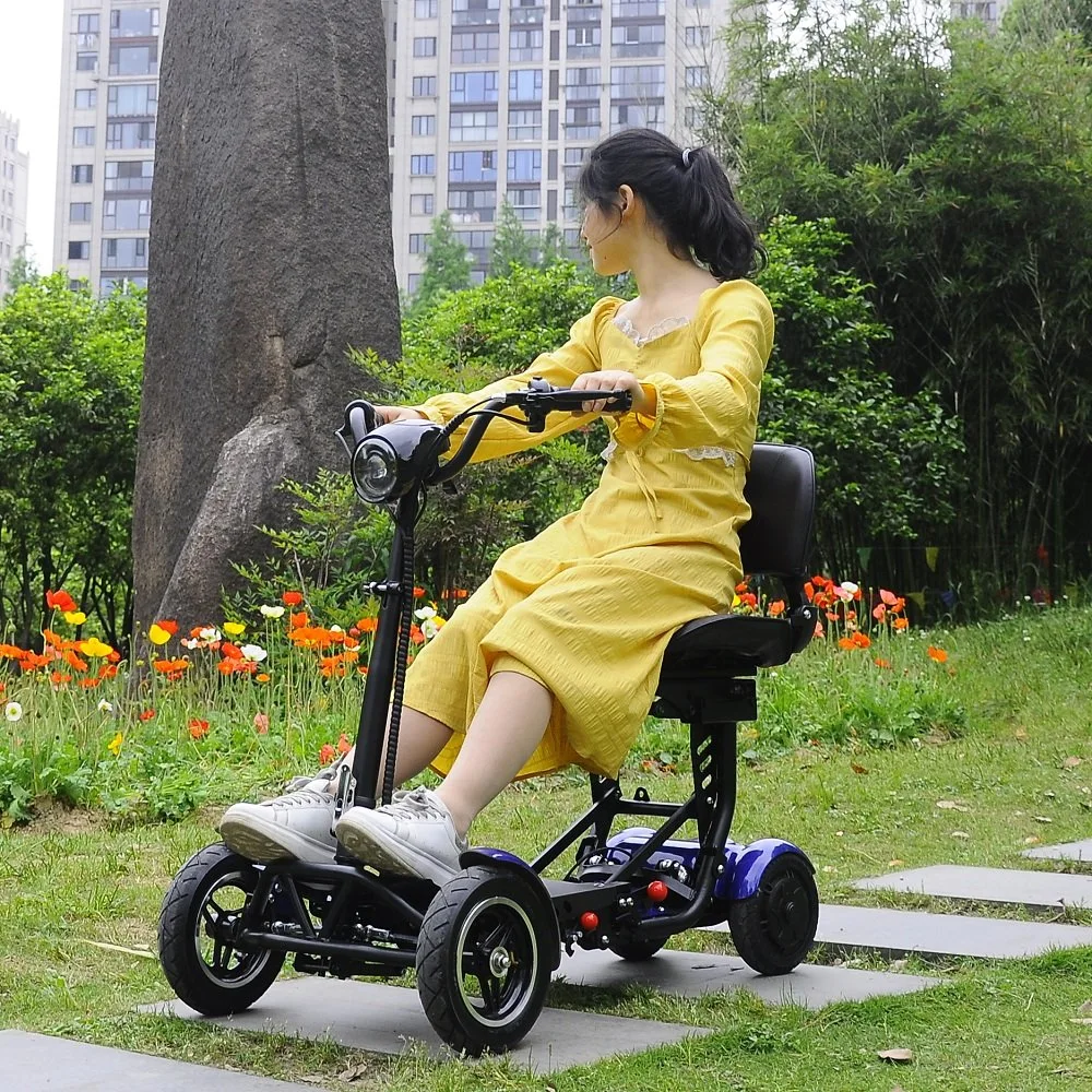 250W 10.4ah Pedal Kick Handicap Mobility Scooter Electric with Chair