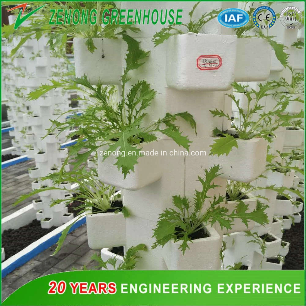 Column Vertical Hydroponic Substrate Soilless Cultivation for Vegetable Strawberry