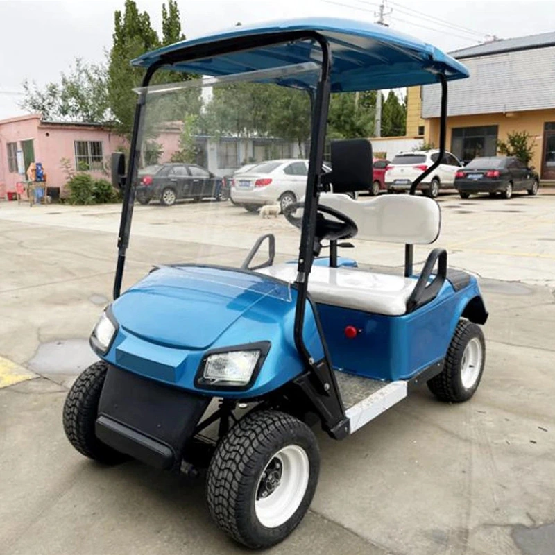 2-6 Seats Low Price Electric Vehicle Golf Carts