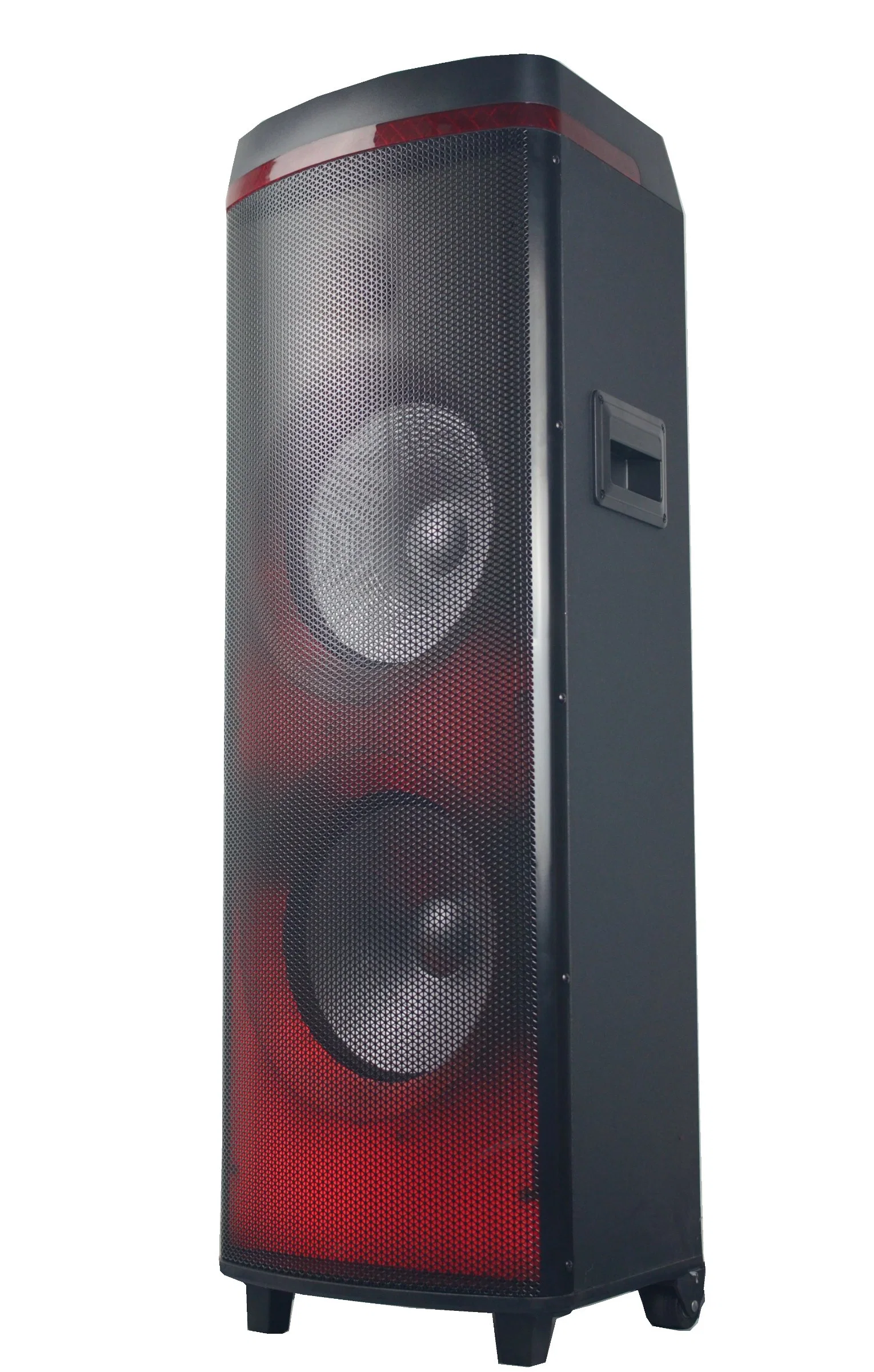 Promotion 12 Inch Popular Party Speaker with Flame LED Audio Speaker