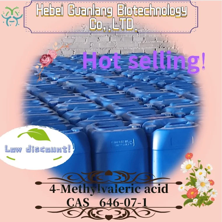 Best Price Chemicals 4-Methylvaleric Acid CAS 646-07-1 Mf C6h12o2 Fast Delivery From China