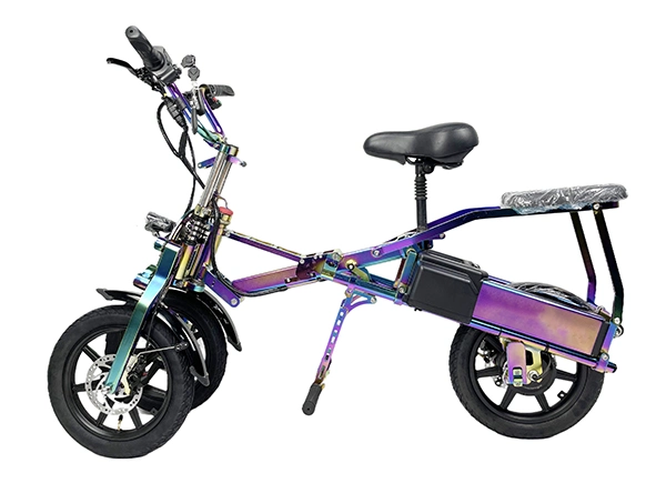 CE En15194 Popular New Design Hidden Battery 3 Wheel Electric Bicycle