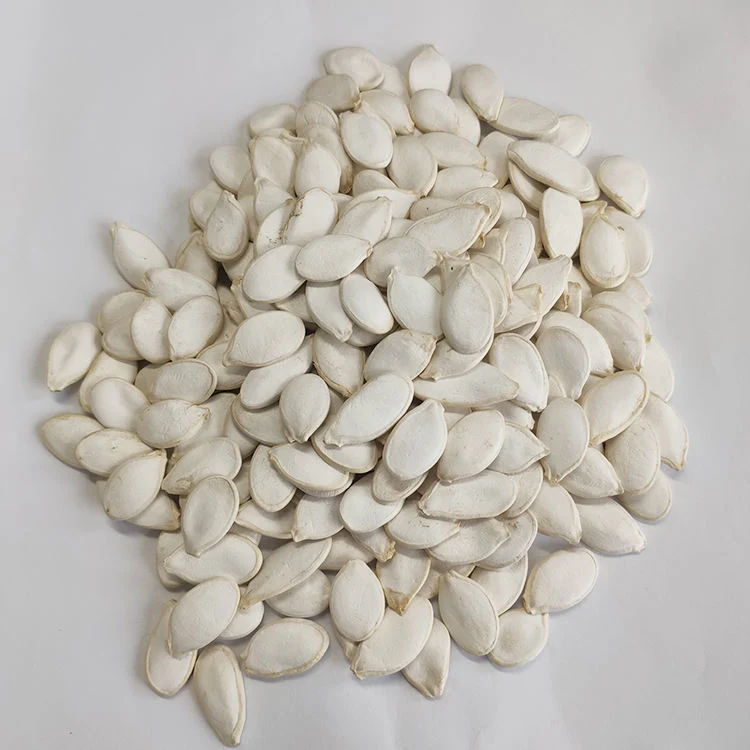 Snow White Pumpkin Seeds